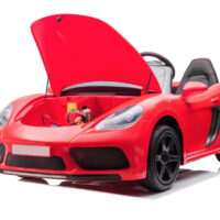 2 seater racer ride on car for kids and adults 9393